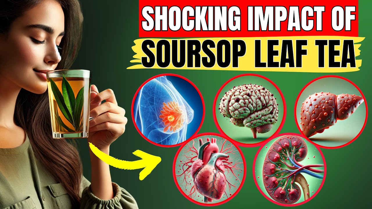 16 Powerful Benefits of Soursop Leaf Tea (Without Losing Its Nutritional Value) Doctors Never Say