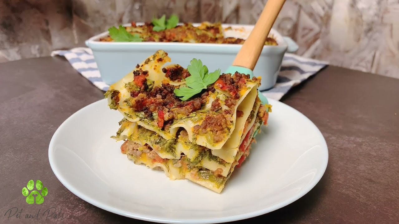 DIY Healthy Dog Food Recipe Lasagna for Dogs Make Healthy Food for