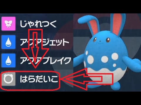 ポケモンsvはらだいこマリルリわざマシンない覚える横遺伝たまご技バイオレットスカーレット Youtube