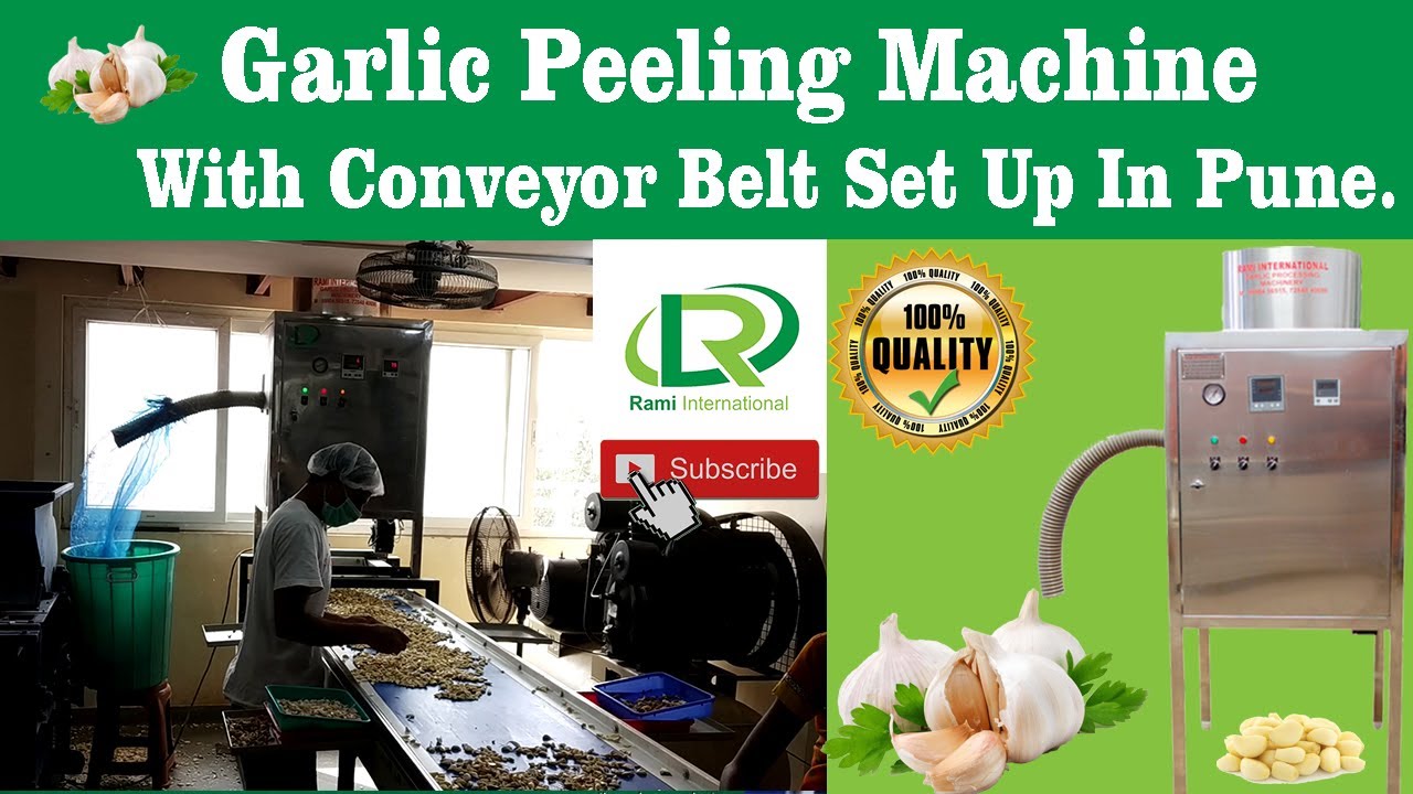 New Chian type Garlic Peeling Machine high capcity