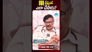 IUIట్రీట్మెంట్ ఎలా చేస్తారు? || IUI Treatment Process In Telugu || Dr Ram Gopal || CHC