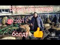 Өзгөн кой базары 🐑! Козулуу койлор көп чыкты 😲👍👍 10.01.2021