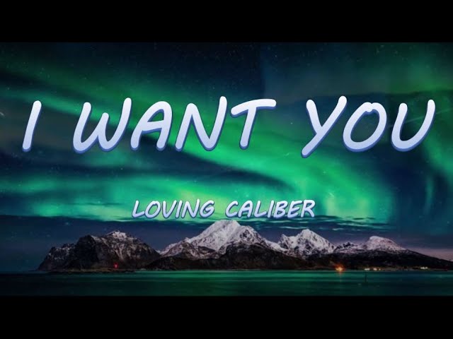 I Want You - Loving Caliber | Lyrics / Lyric Video class=