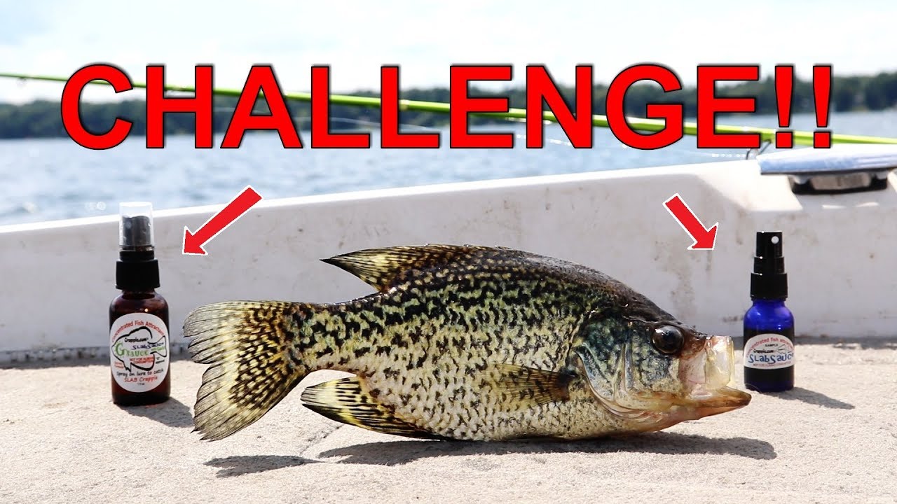 Best Scent for Crappie?!  Slabsauce VS G-Sauce Challenge 