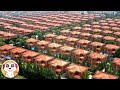 IN QUESTA CITTÀ È VIETATO MORIRE