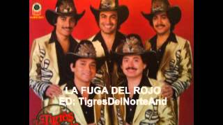 Video thumbnail of "Los Tigres del Norte La fuga del rojo"