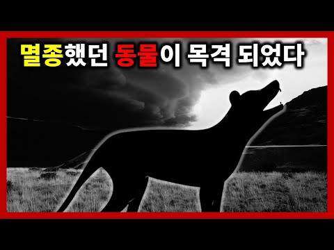 멸종동물이 목격되었다(크립티드ㅣ미확인동물)
