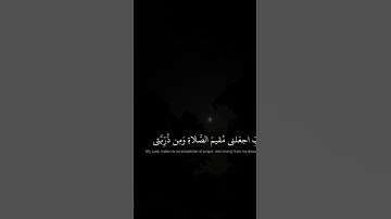 آمين يارب العالمين استمع الى القران الكريم 10 ثواني و اكسب الاجر❤️🫶🌹