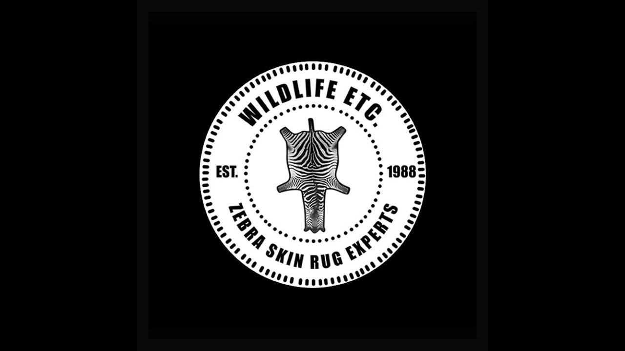 Zebra Skin Rug Felt Backing & Repair YouTube