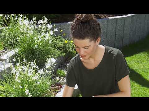 Аккумуляторные ножницы Gardena