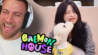 видео: БЕБИ-МОНСТР ПРИСИДИТ ЗА СОБАКОЙ!! ДОМ БЭМОНА, ЭПИЗОД 5 - РЕАКЦИЯ картинка: БЕБИ-МОНСТР ПРИСИДИТ ЗА СОБАКОЙ!! ДОМ БЭМОНА, ЭПИЗОД 5 - РЕАКЦИЯ