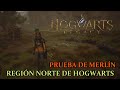 Hogwarts Legacy - Prueba de Merlín - Región norte de Hogwarts (Junto a La cueva de la coleccionista)