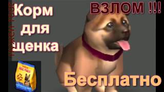 Last Day on Earth:Survival взлом корма для собаки Last Day on Earth:Survival взлом корма для собаки