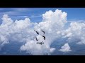 Skydive Deland August 2021