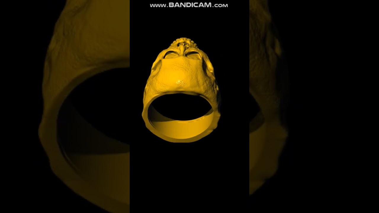 Customize Skull For Export. Contact Us For Ordering @9284848105 