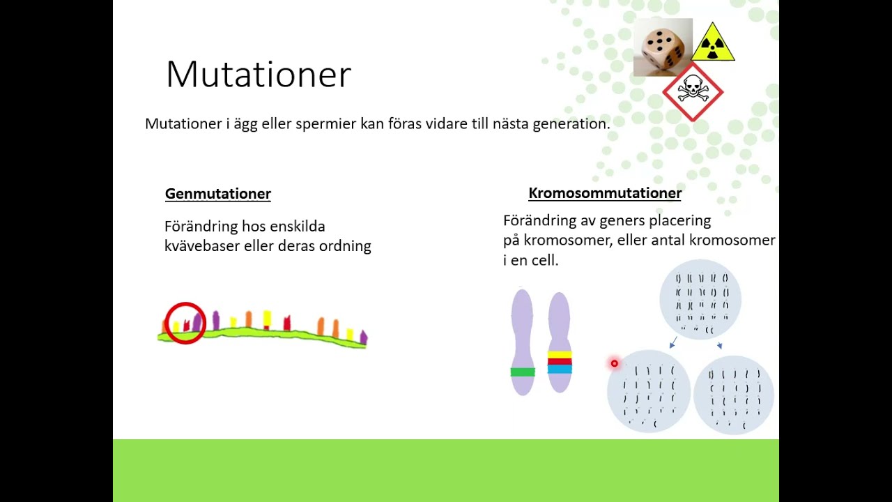 DNA och gener
