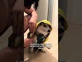 Nothing scarier than corgi’s side eye