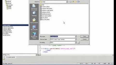 Magento Designers Guide for Themes [free-magentoextensions.com]