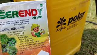 Dosis Herbisida Serendy 28 WP Untuk Tanaman Padi