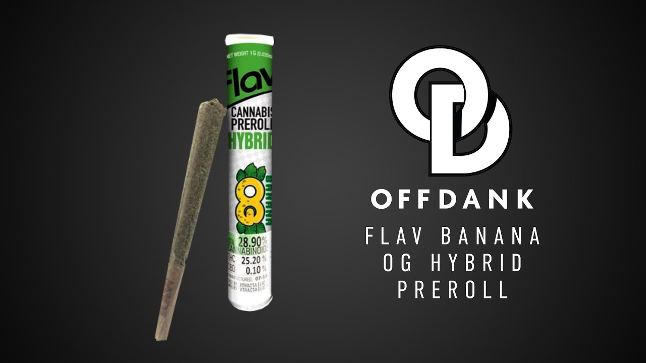 OFF DANK'S FLAV BANANA OG HYBRID PRE-ROLL REVIEW