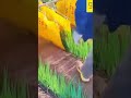 Amazing Easy Field Crop Spraying Process 🌾💦 #shorts