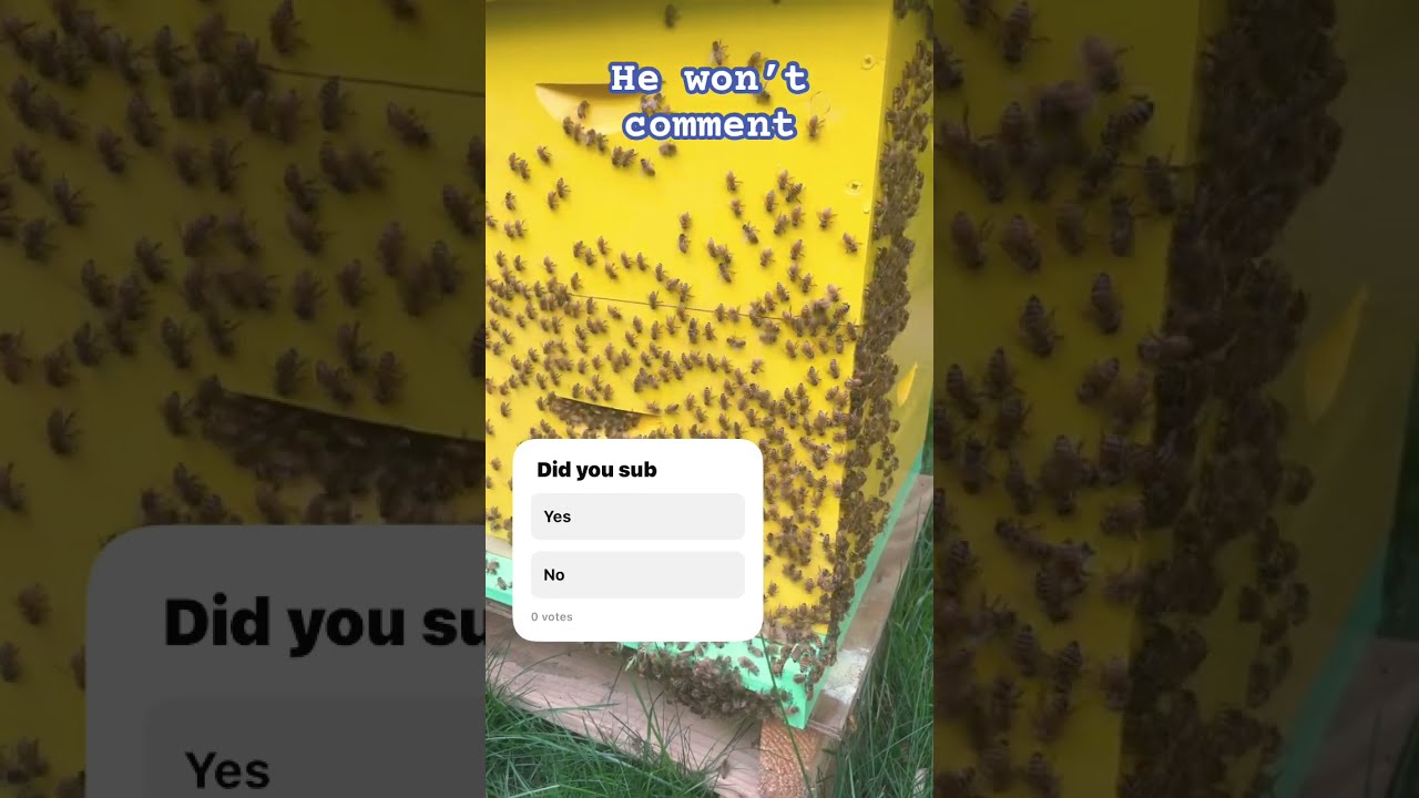 He Probably Won T Comment