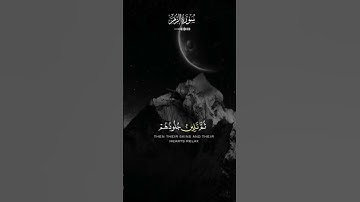 الله نزل احسن الحديث#قرآن کریم تلاوة خاشعه قرآن كريم #ايات #قرآنیه#كويت #سعودية #الامارات