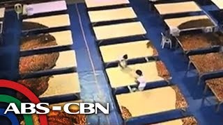 TV Patrol: 320,000 puto ginawang obra sa Pangasinan para masungkit ang Guinness World Record