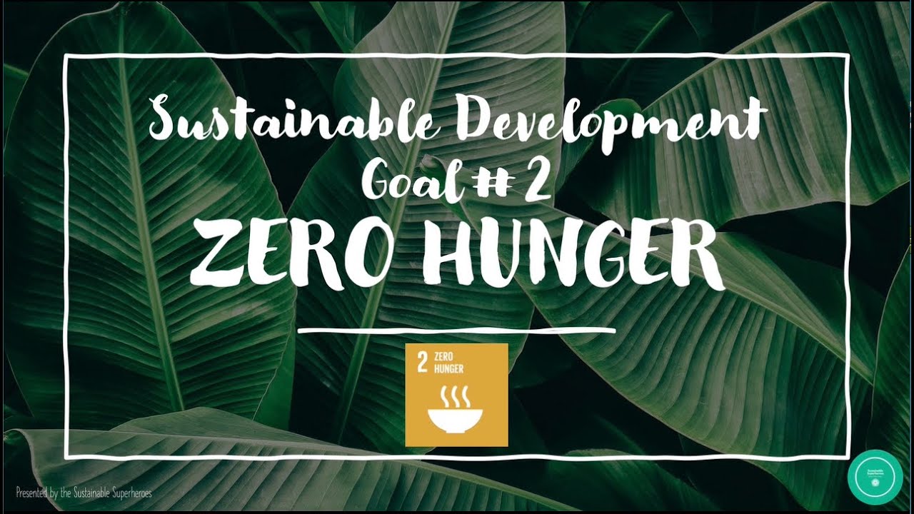 Sdg 2 Zero Hunger Ppt