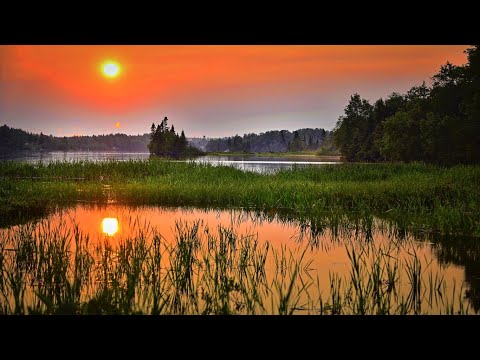 Vídeo: Com Relaxar-se Junts