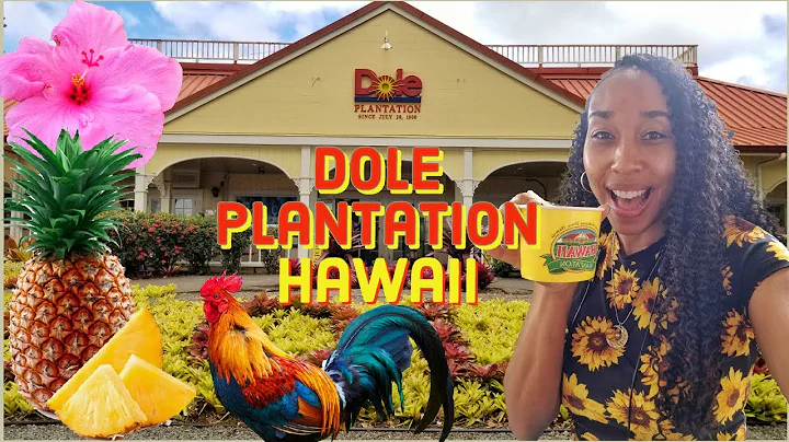 What Can You Do at Dole Plantation? / O'ahu, Hawaii