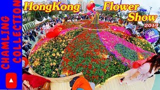 The hong kong flower show is a major event organised by leisure and
cultural services department to promote horticulture awareness of
greening. e...