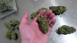 Ogeezts1000 Marshydro Harvest Results