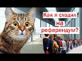 О том, как я сходил на референдум по поправкам в Конституцию