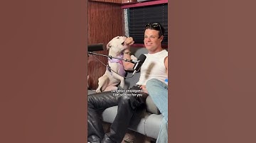 @yungblud  and puppy combo aka my favorite #yungblud #yungbludarmy #blackheartsclub