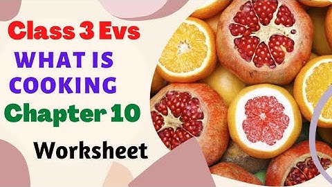Worksheet | Question Answers | What is Cooking | Class 3 EVS | CBSE NCERT | Chapter 10