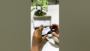 🌟 Make Your Smart Business Card Now! 🌟