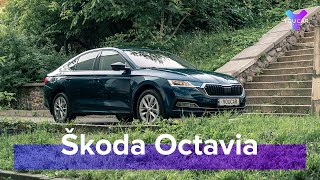 Награды, титулы и отсутствие борзости: новая Skoda Octavia A8. You.Car.Drive.