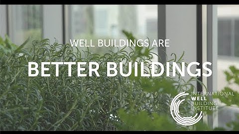 What is WELL and why it matters