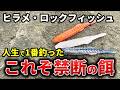 人生で1番沢山ヒラメ・マゴチ・ロックフィッシュを釣った禁断の餌ワーム。食い渋り無関係に最高な釣りになりました【カタクチワーム】
