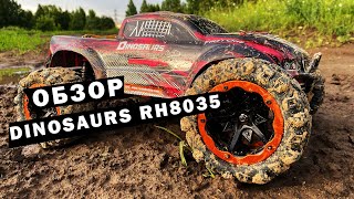 :   Dinosaurs Master Brushless RH8035.   Remo Hobby   2S  3S