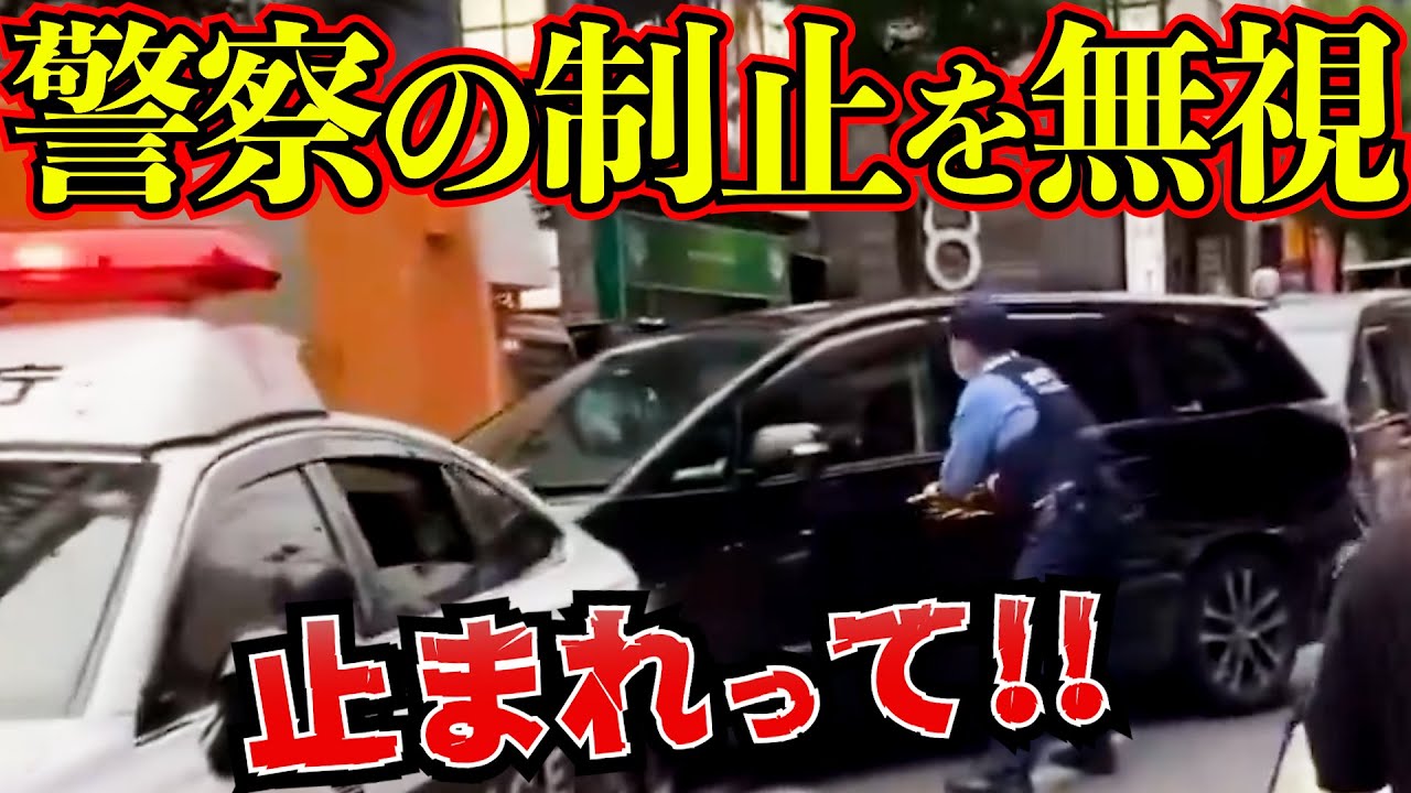 【ドラレコ特集】とんでもない奴！あなたも遭遇するかも？【逃走・逮捕の瞬間】警察から逃走して逮捕