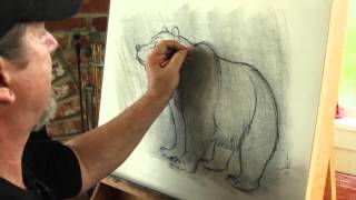 Learn how to Draw a Bear from a pro