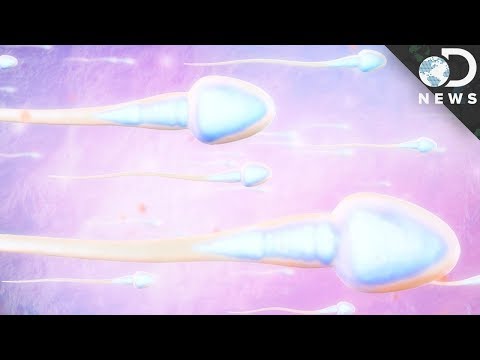 Vídeo: ¿La Saliva Mata A Los Espermatozoides?