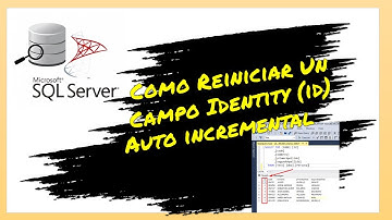 Como Reiniciar Un Campo Identity Auto incremental en SQL Server!