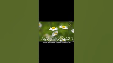 #القرآن_الكريم ـ إذ قال يوسف لأبيه ـ تلاوه خاشعه للشيخ ياسر الدوسري ♥️🤲🏻