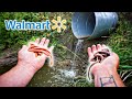 FAKE Vs. LIVE Nightcrawlers Fishing EXPERIMENT!!! (Walmart Challenge)