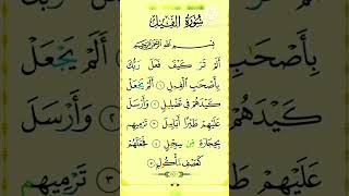 Surah Al Feel 💖💖|| Muhammad Fahad 🌹🌹|| Beautiful Voice || Arabic Text 💗💗❤❤💯💯💯