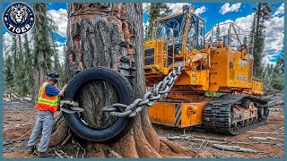 199 Incredible Fastest Big Chainsaw Cutting Tree Machines ▶13