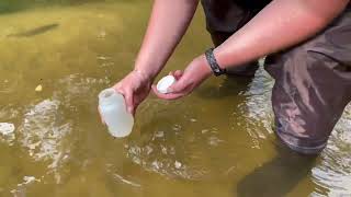 Collecting a nutrient sample (total phosphorus or total nitrogen)